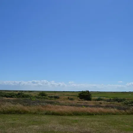 Anelia - 2-3km From The Sea In Western Jutland By Interhome 公寓 Sønderby
